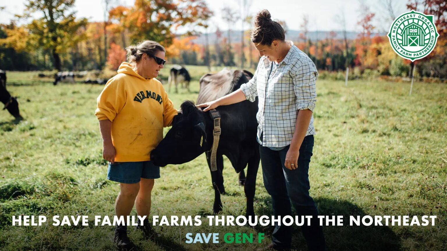 6 Easy Ways You Can Help Save Small Organic Family Farms Stonyfield