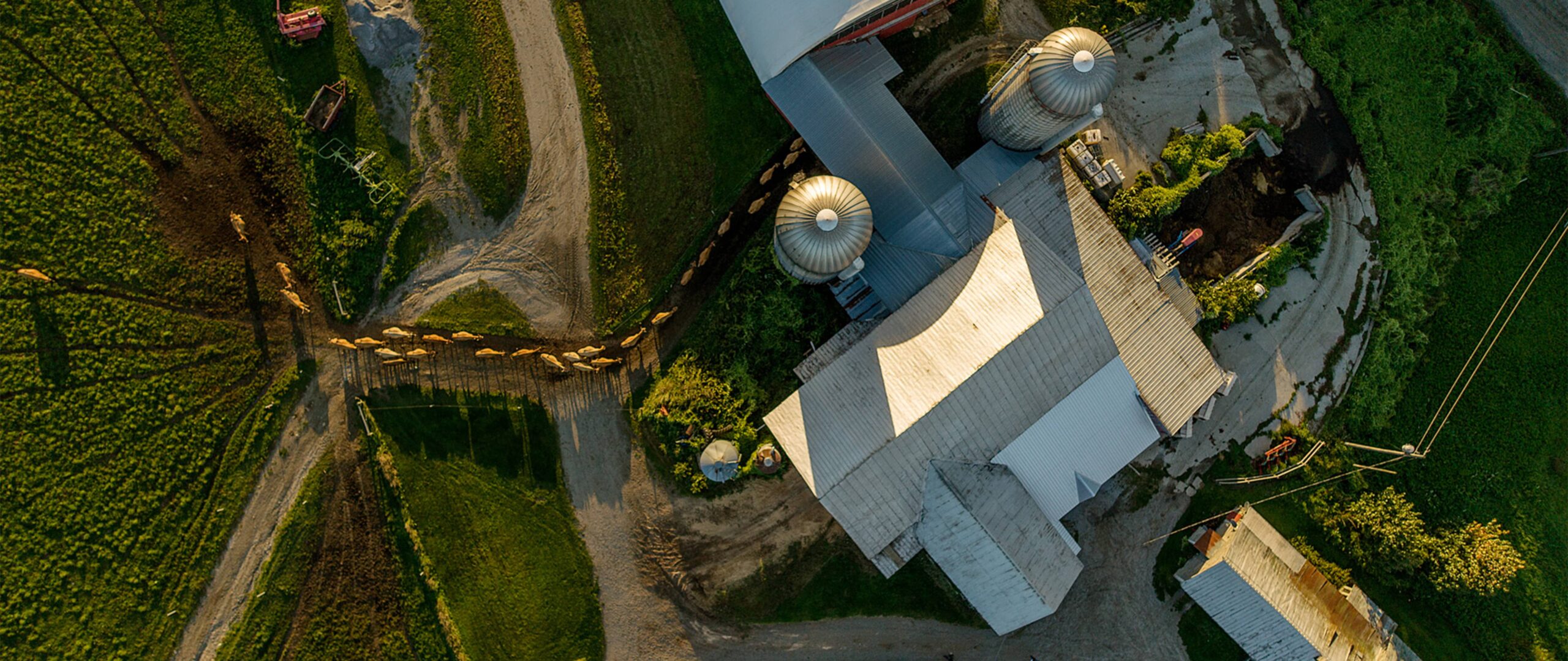 Aerial view of a dairy farm that supplies Stonyfield Organic milk
