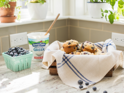 Blueberry Yogurt Muffins recipe