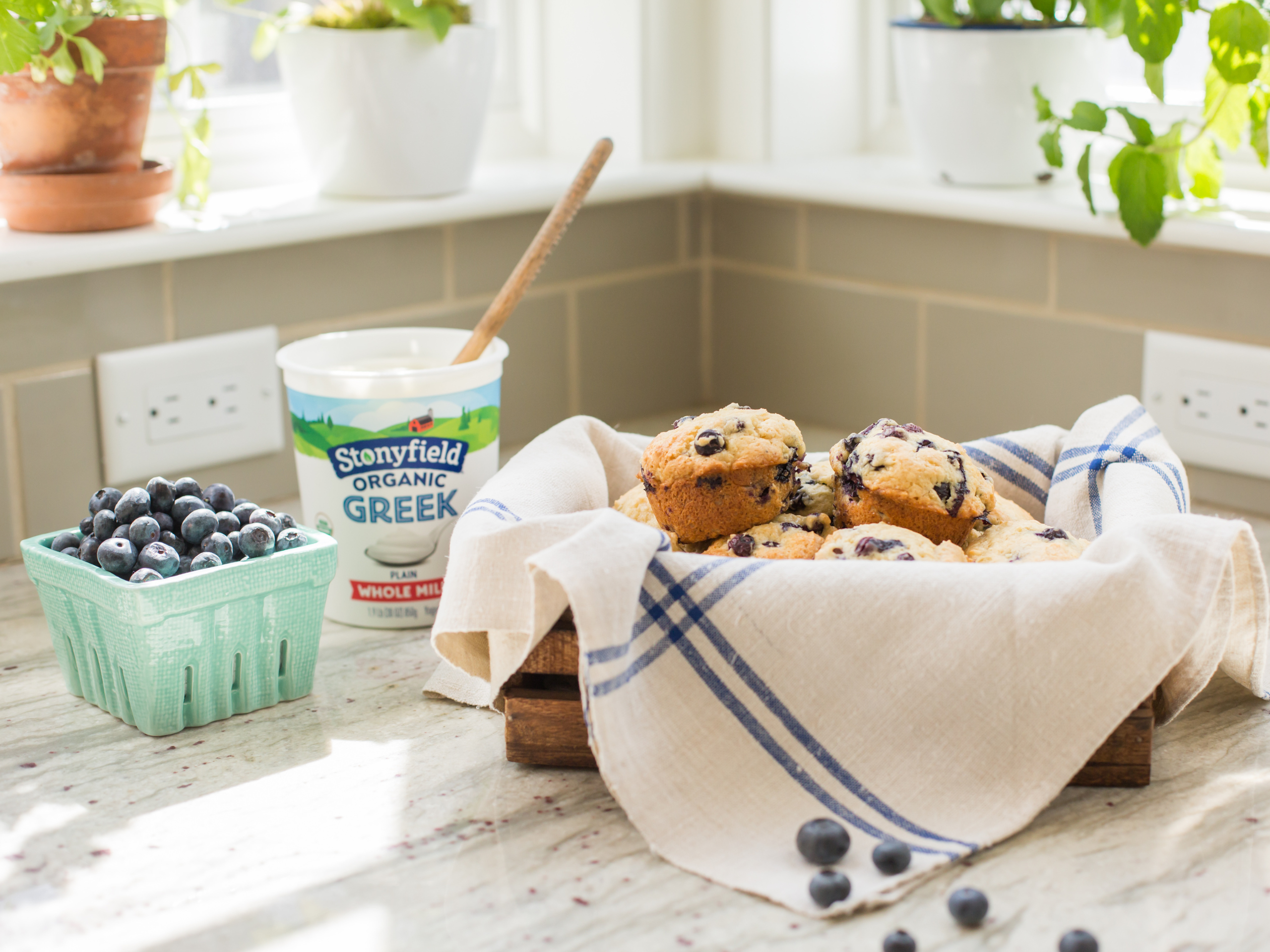 Blueberry Yogurt Muffins