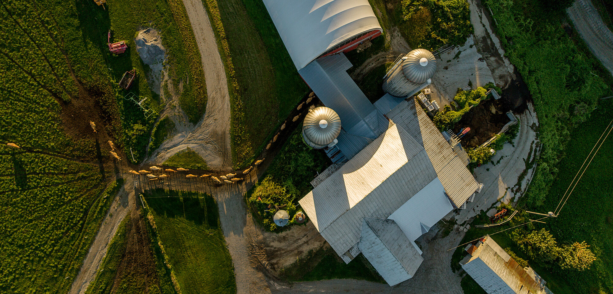 Molly Brook Farm