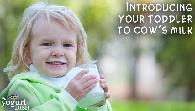 Toddler's love organic milk! 