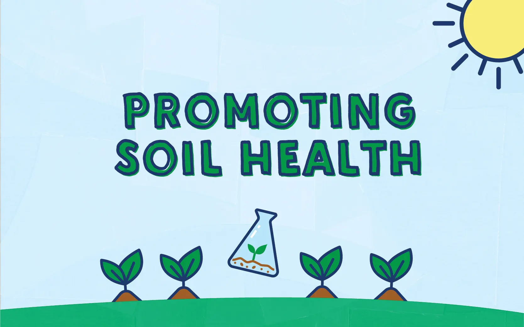 Promoting Soil Health | Stonyfield Organic