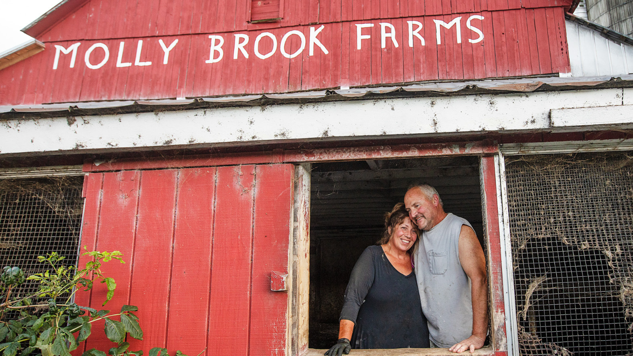 Video: Stonyfield Organic - The Farmers