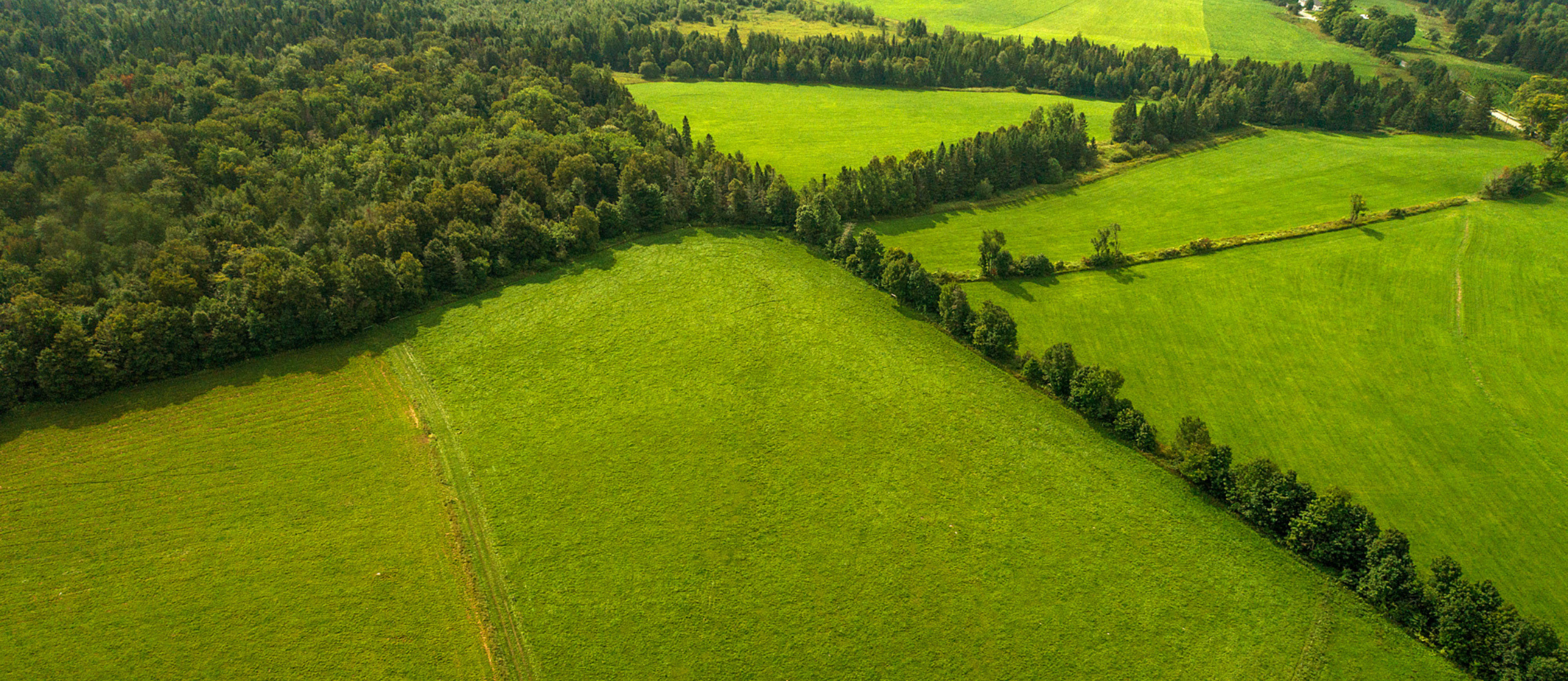 Stonyfield Organic: On A Mission To B A Better Business