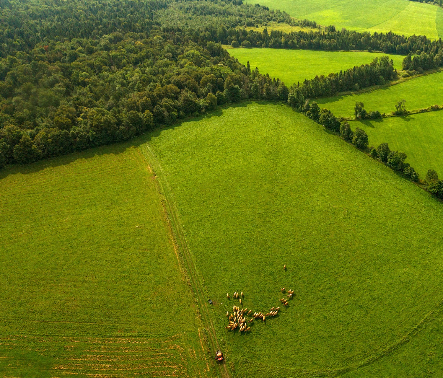 Stonyfield Organic: On A Mission To B A Better Business