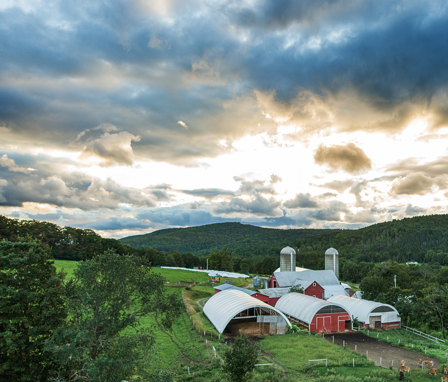 Stonyfield’s Science Based Target – 30 by 30