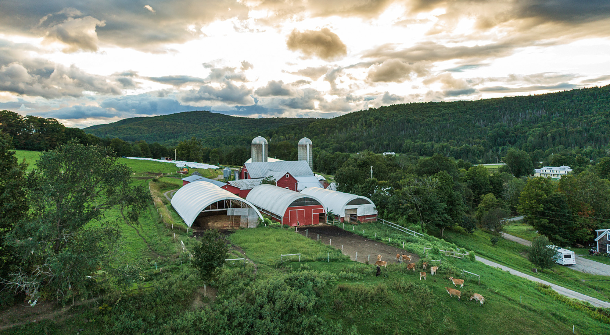 Stonyfield Organic: On A Mission To Make A Difference