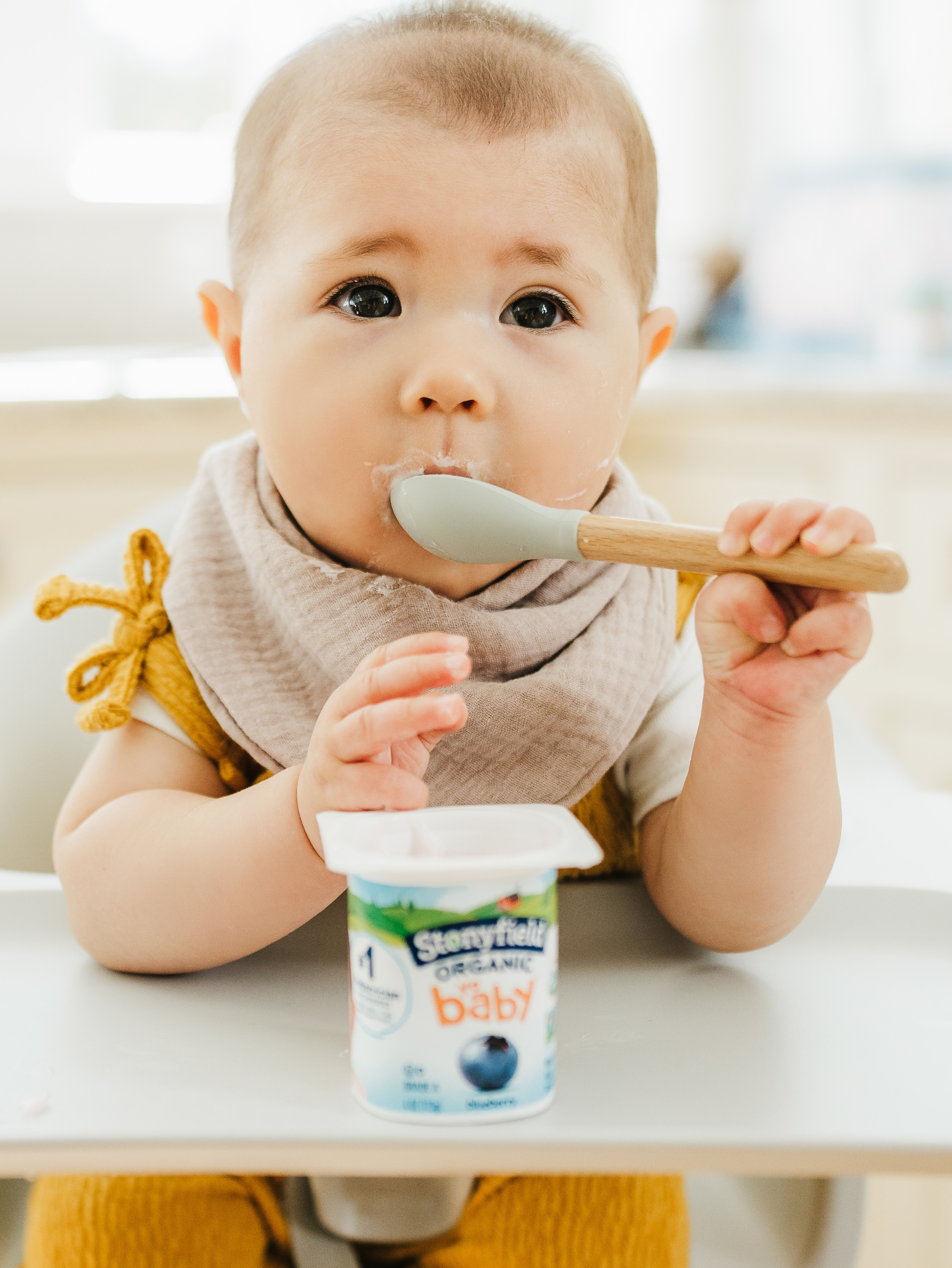 Stonyfield Organic Baby Food