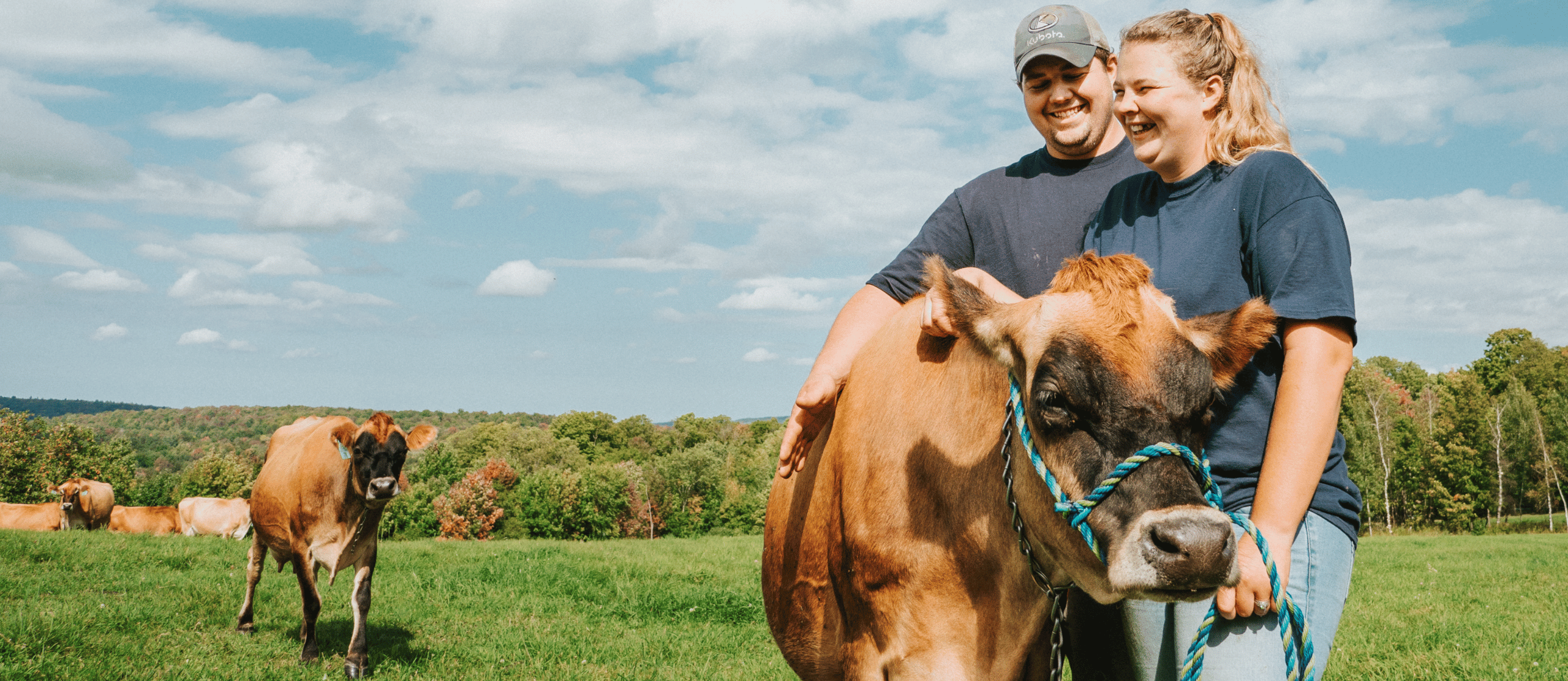 Maple Valley Jersey Farm