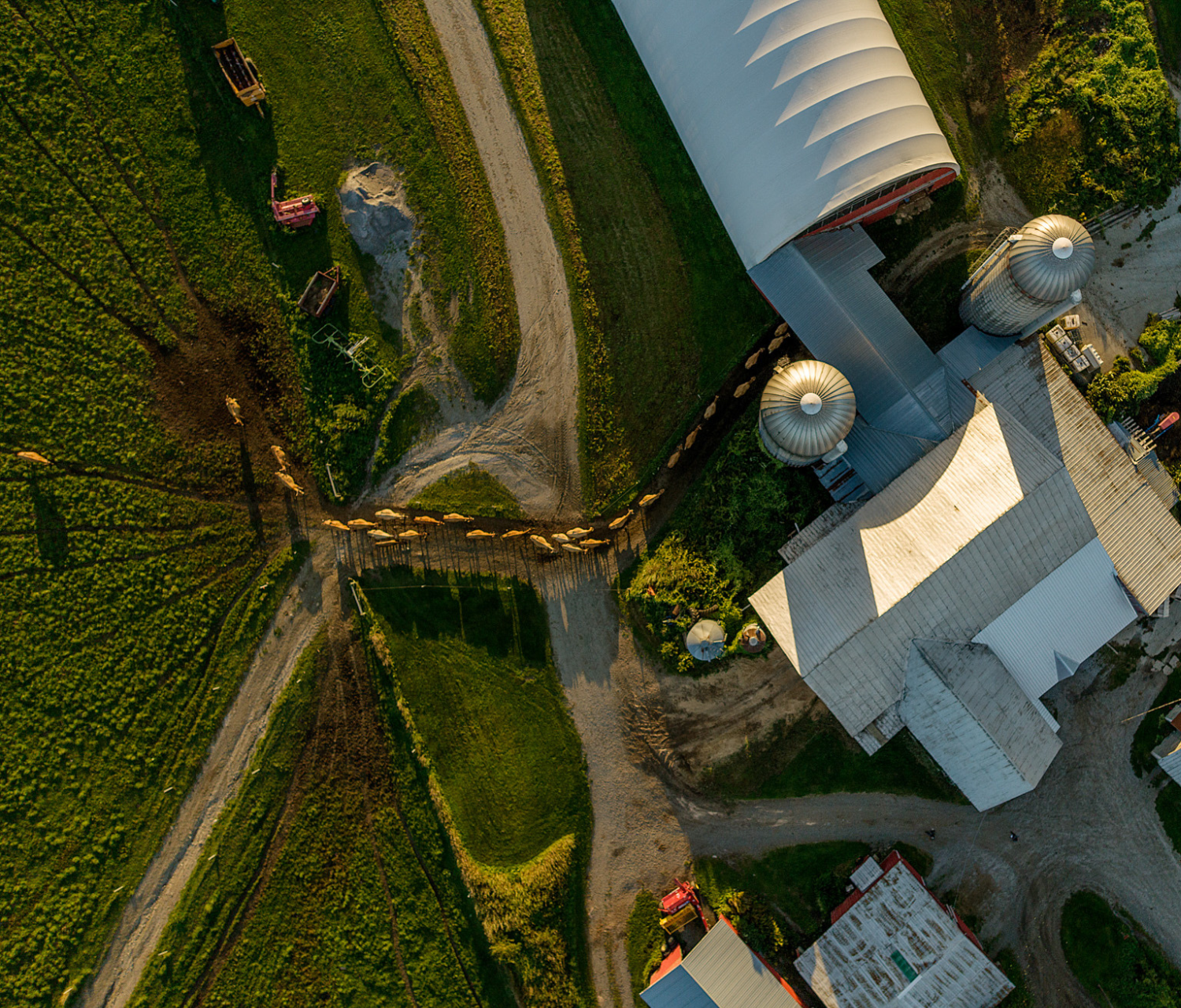 Molly Brook Farm