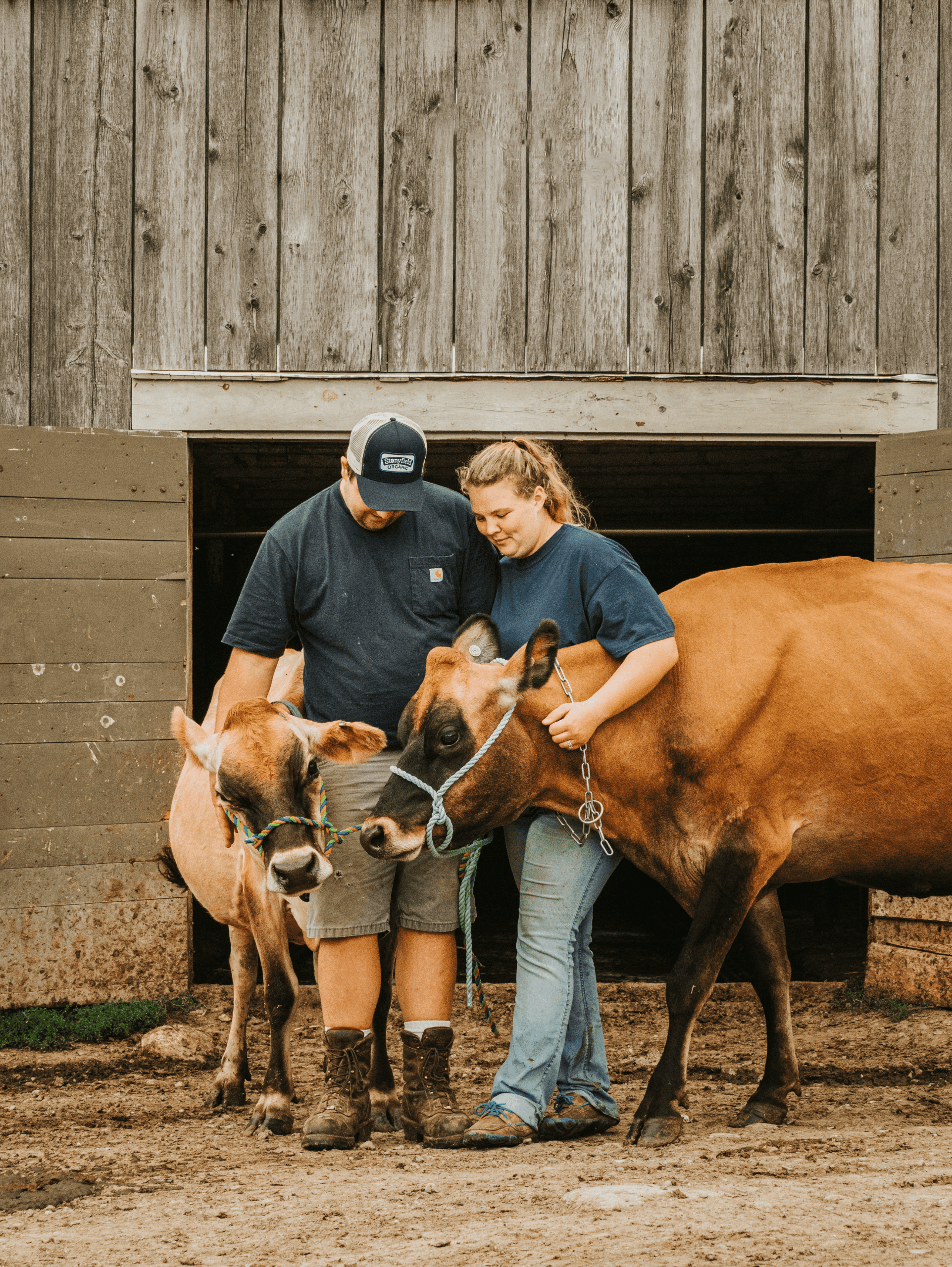 Maple Valley Farm