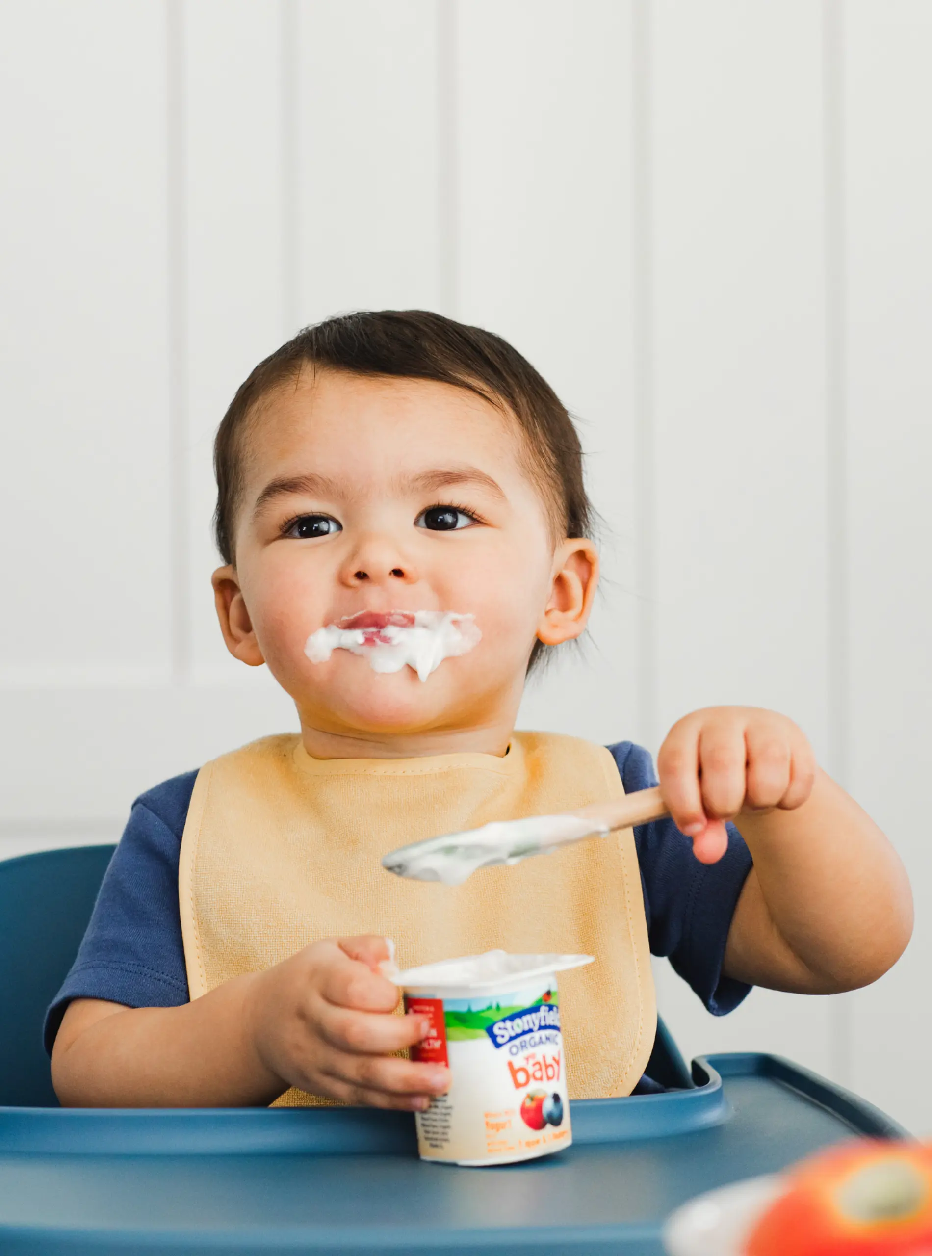 Select flavors of Stonyfield Organic YoBaby Yogurt are now made with no added sweeteners