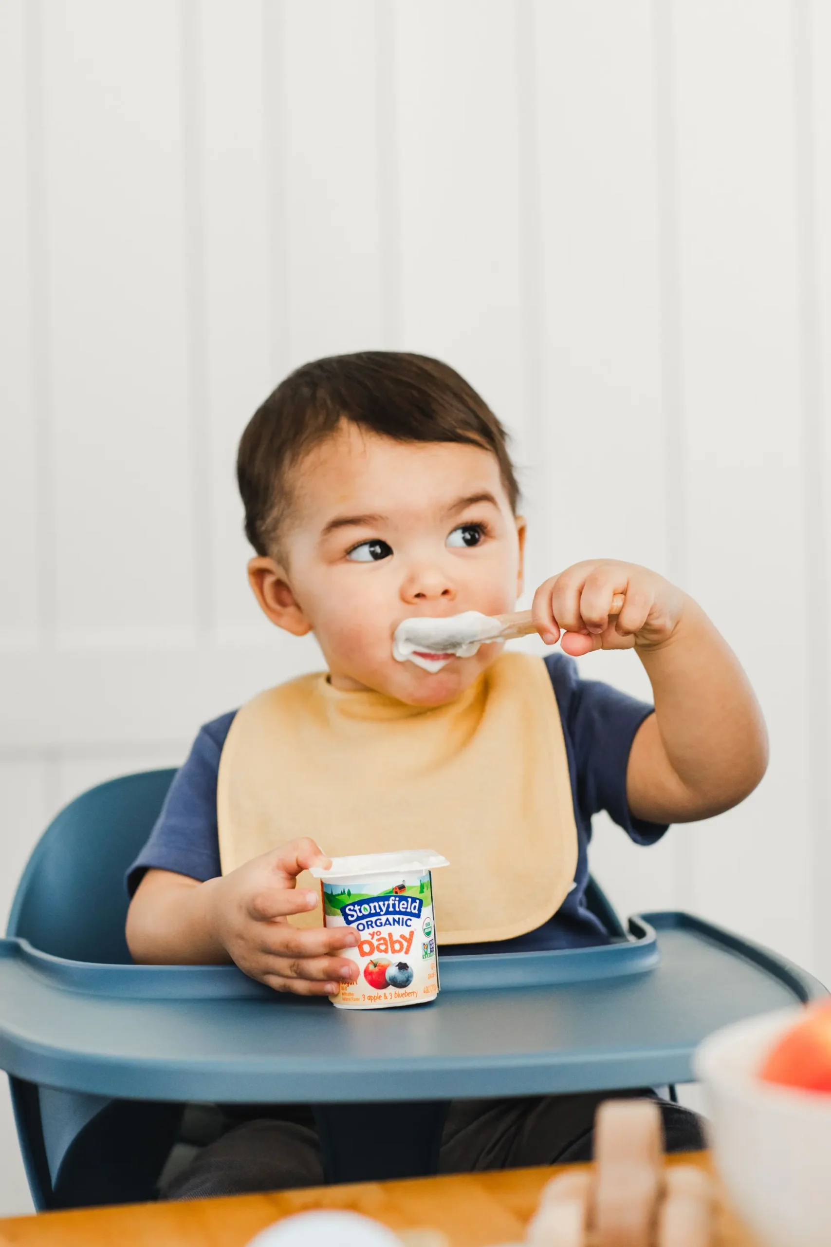 Stonyfield Organic Baby Food