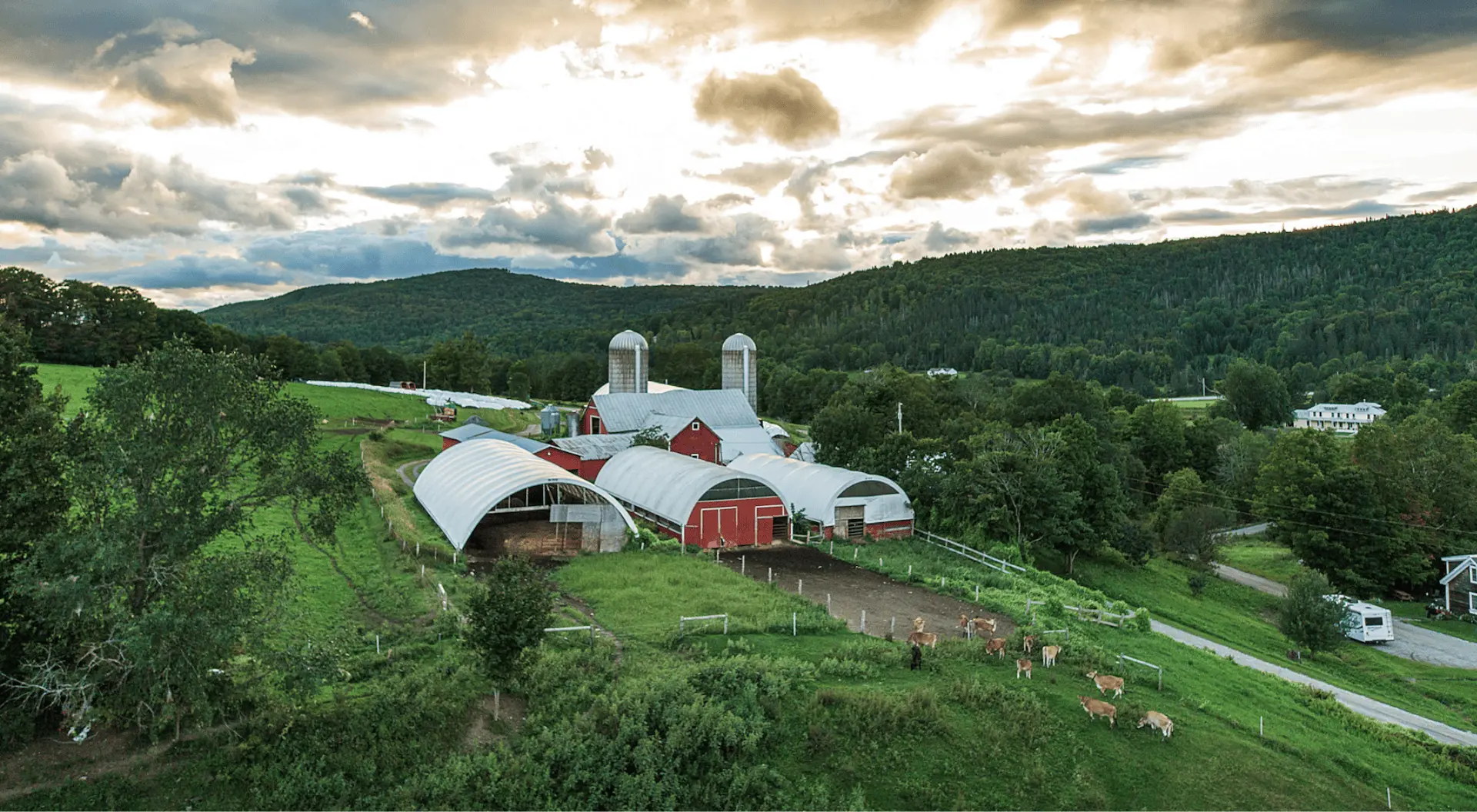 Organic Farm