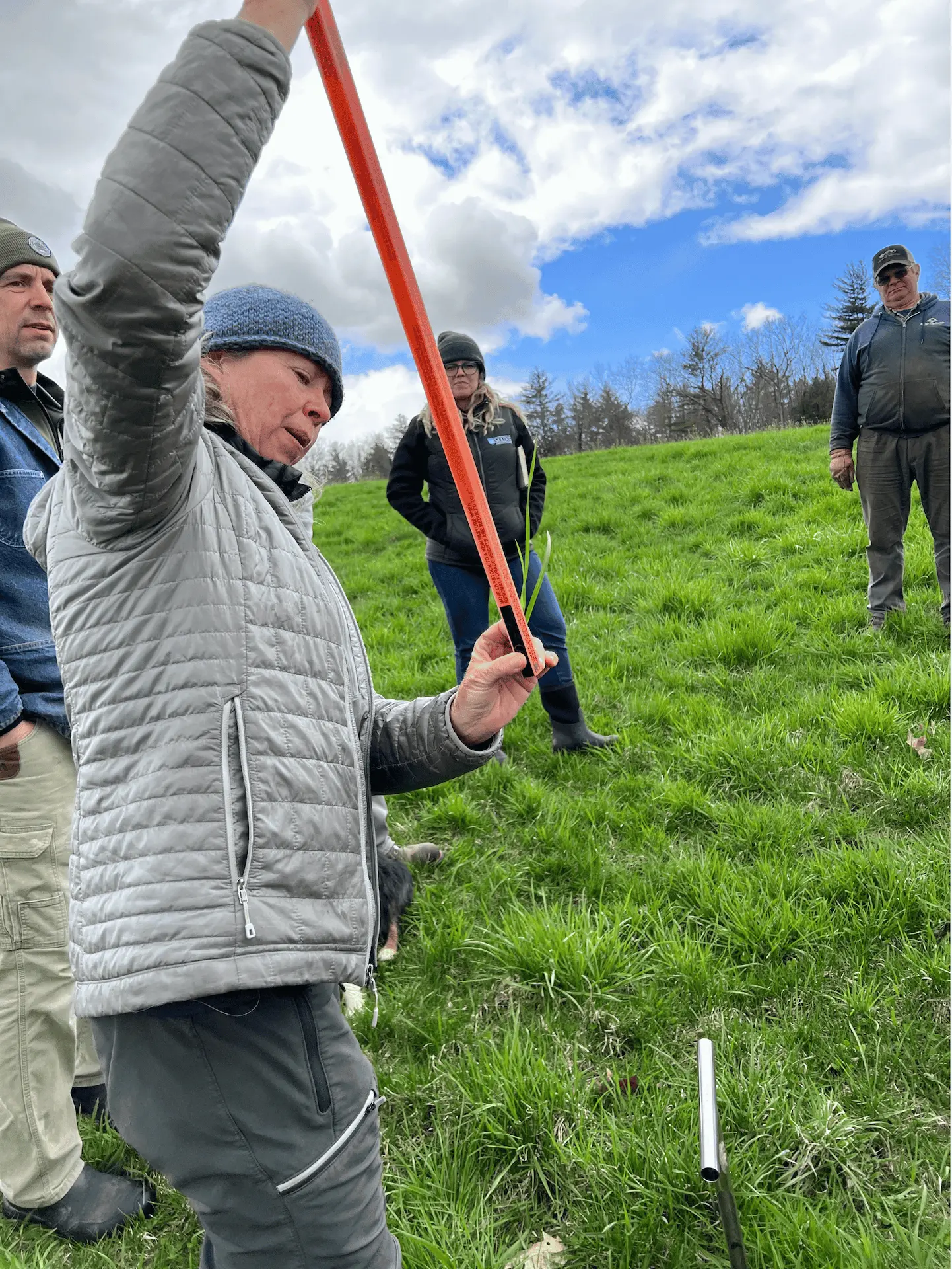 Soil Test