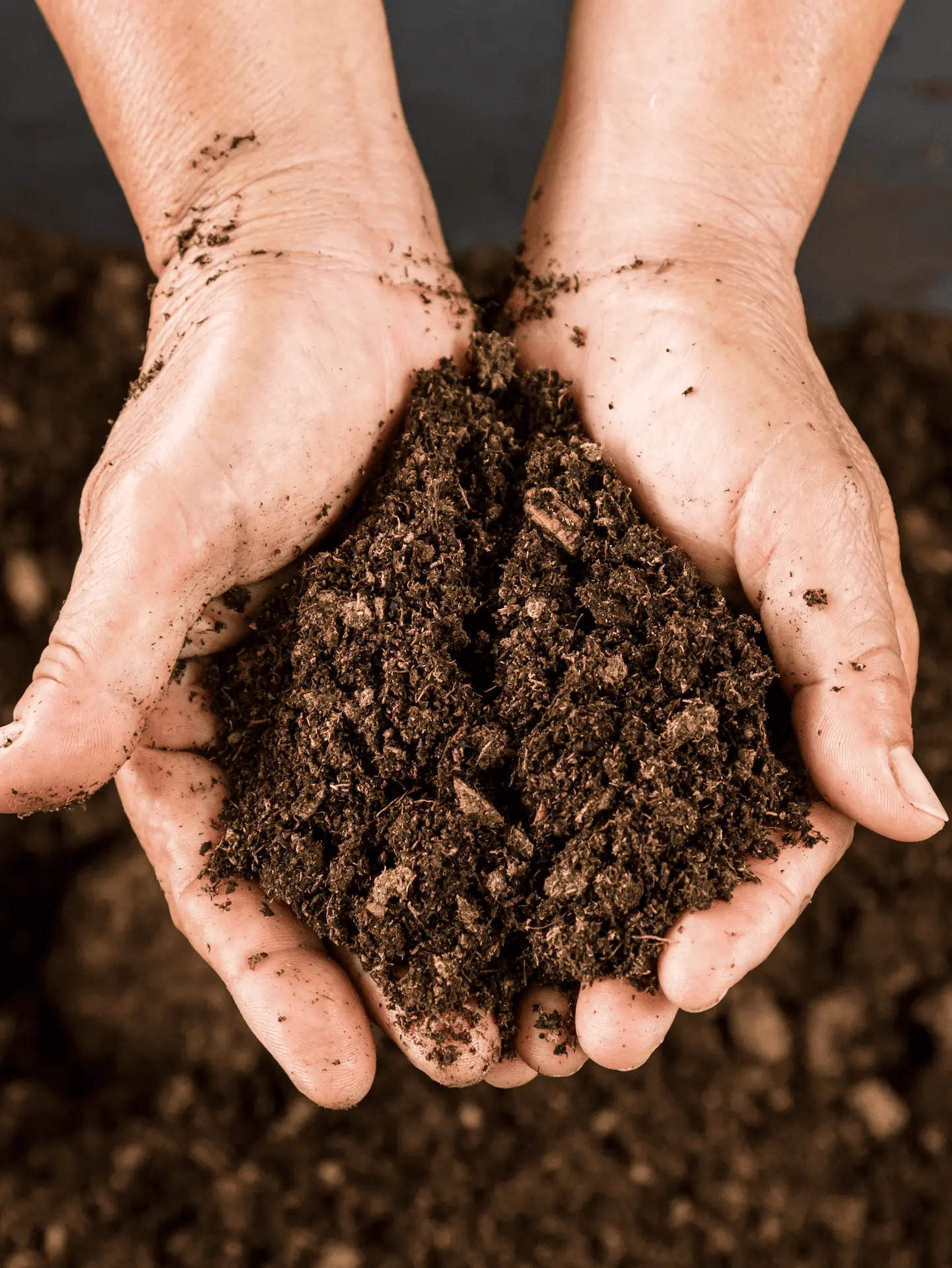 Hands with soil