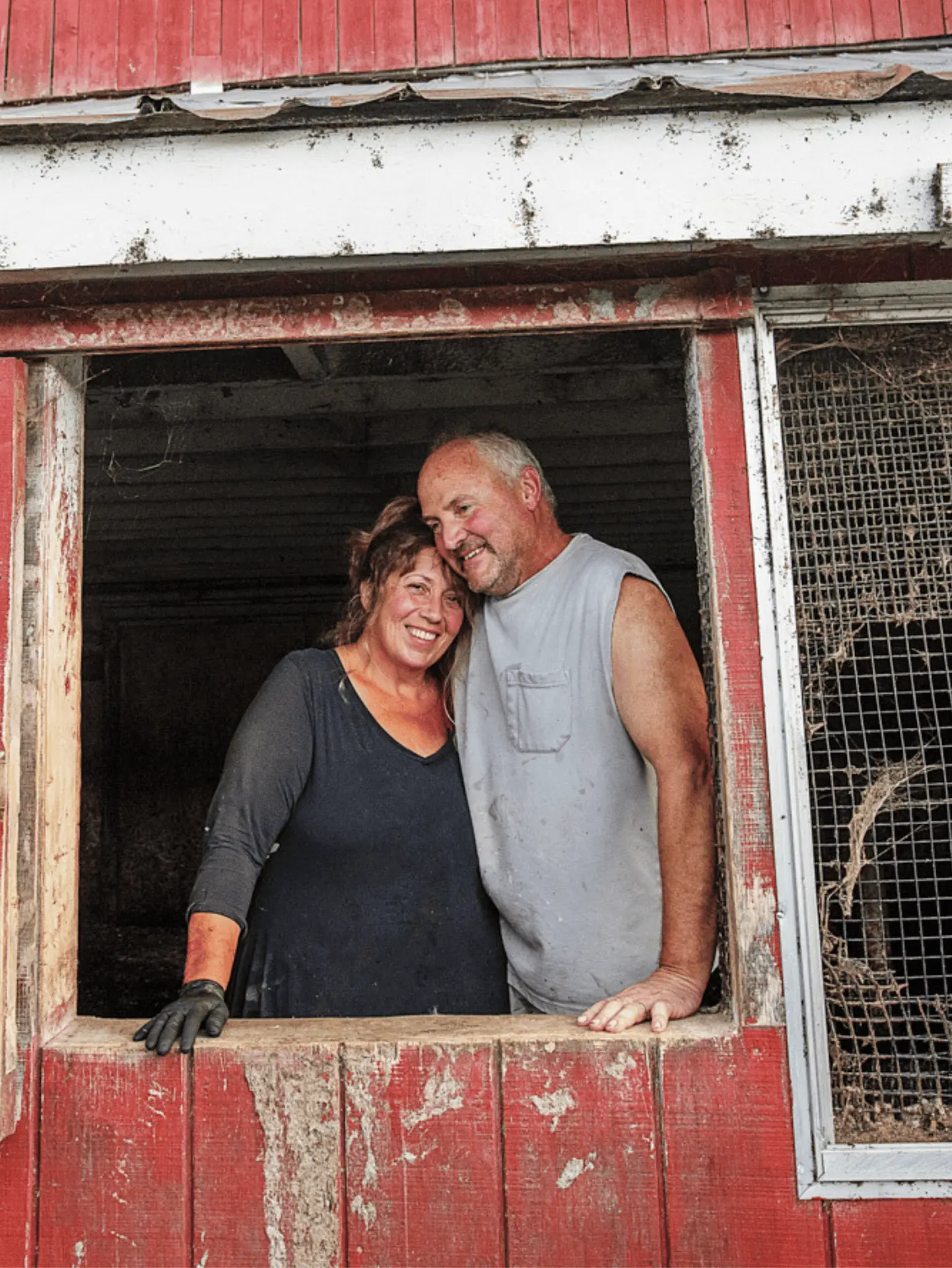 Organic Dairy Farmers