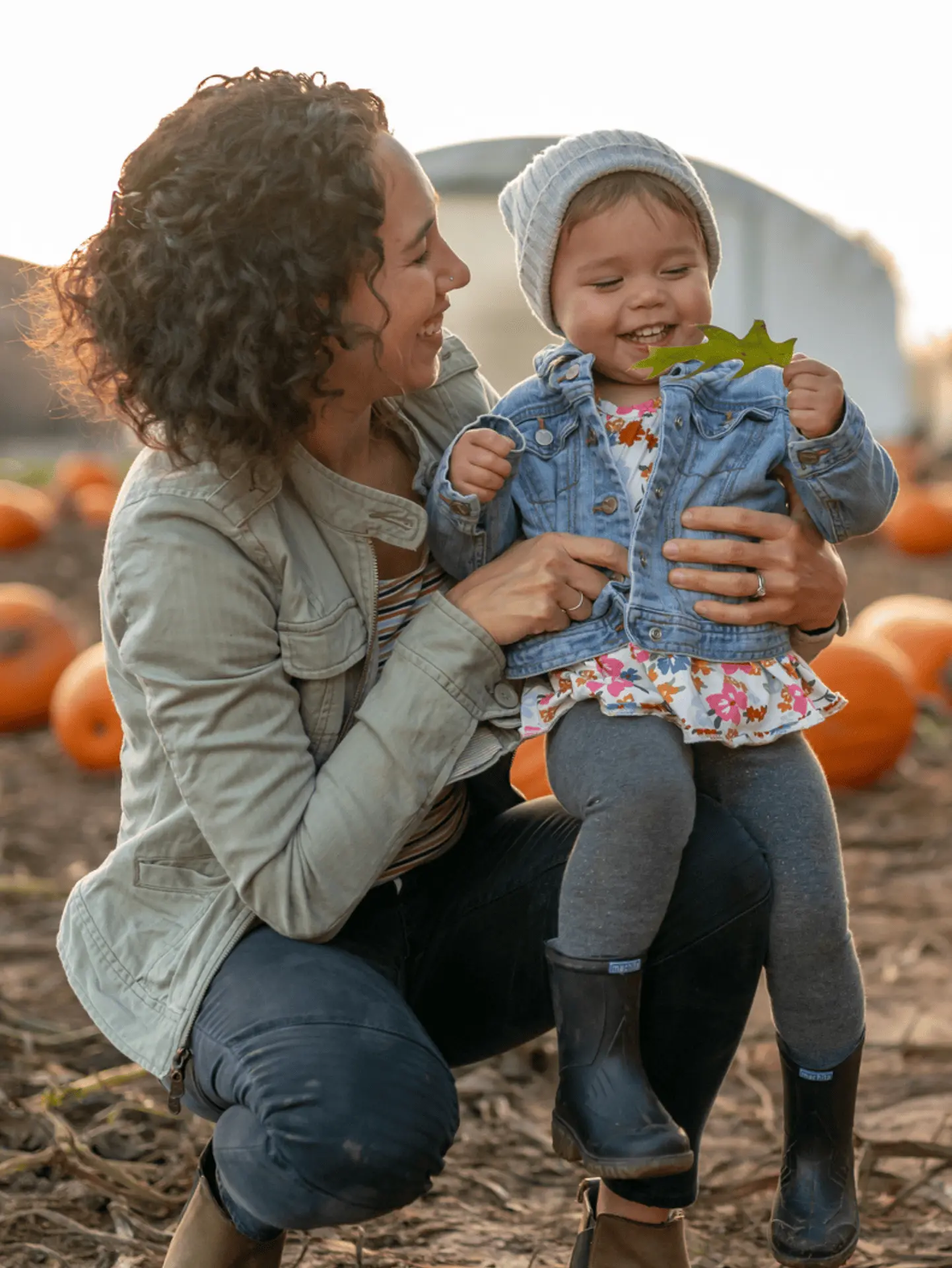 Family In a Pumpkin Patch